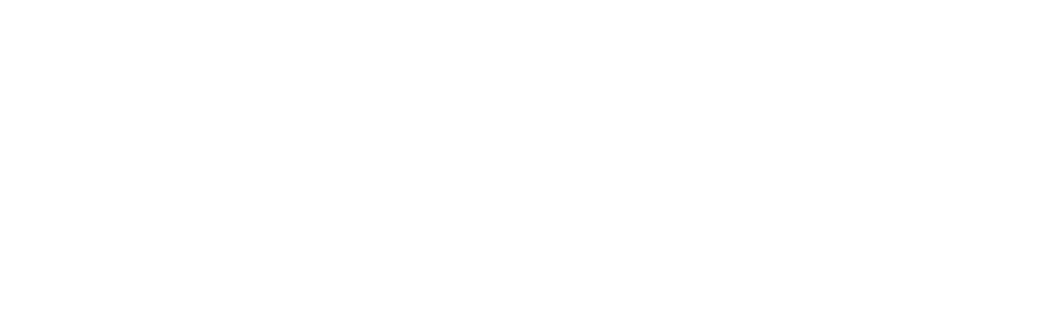 icegov_2023_white